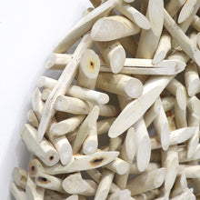 Load image into Gallery viewer, Crusoe Taiga Wall Decor