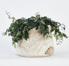 Load image into Gallery viewer, Artesia Wide Indoor Planter