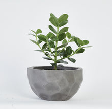 Load image into Gallery viewer, Geo Concrete Bowl Set Planters