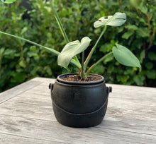 Load image into Gallery viewer, Original - Cast Iron Cooking Pot