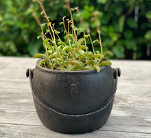 Load image into Gallery viewer, Original - Cast Iron Cooking Pot