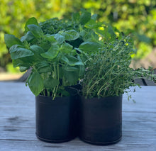 Load image into Gallery viewer, Original - Metal Herb Holer