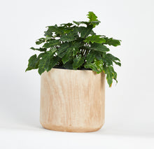 Load image into Gallery viewer, Artesia Tall Bowl Indoor Planter