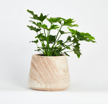 Load image into Gallery viewer, Artesia Wide Indoor Planter
