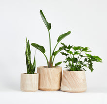 Load image into Gallery viewer, Artesia Wide Indoor Planter