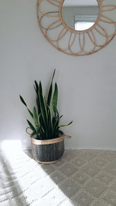 Carnastar Seagrass Basket