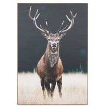 Load image into Gallery viewer, Photographic Framed Meadow Stag Canvas Print
