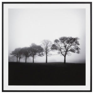 Photographic Framed Misty Trees Print