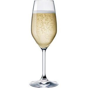 Premium Italian Champagne Flute (Hire Price & Pickup Only)